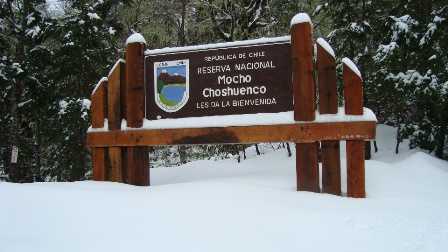 Reserva Nacional Mocho-Choshuenco