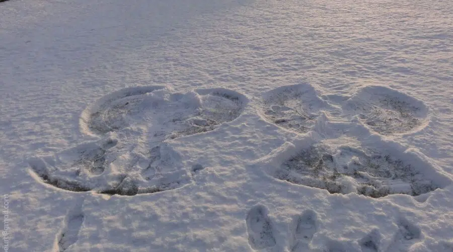¿Cómo hacer un Angel de Nieve?