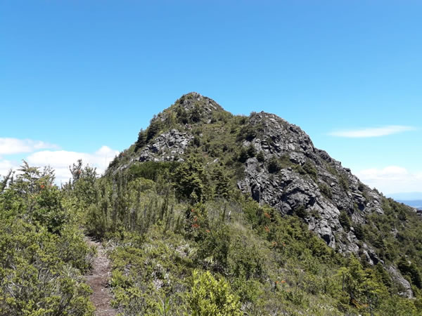 Cerro Diuco