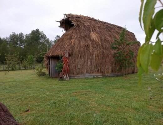 Ruca Mapuche