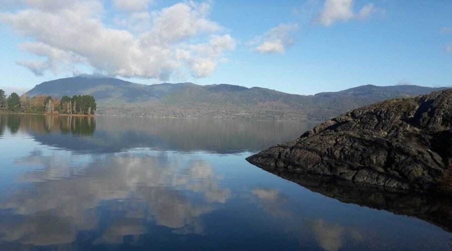 Aprobada ley que protege humedales